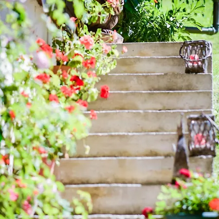 Ξενοδοχείο Pinzgauer Hof Maria Alm am Steinernen Meer