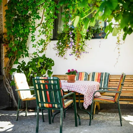 Pinzgauer Hof Ξενοδοχείο 3*