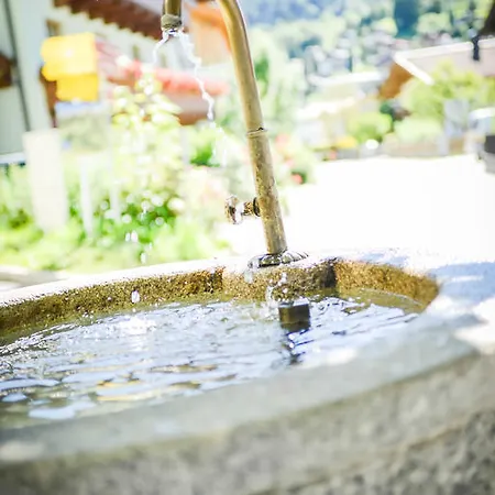 Ξενοδοχείο Pinzgauer Hof Maria Alm am Steinernen Meer