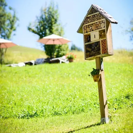 Hotel Pinzgauer Hof 3*
