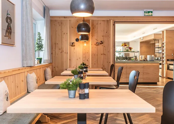 Pinzgauer Hof 酒店 玛丽亚埃姆安斯泰内嫩米尔