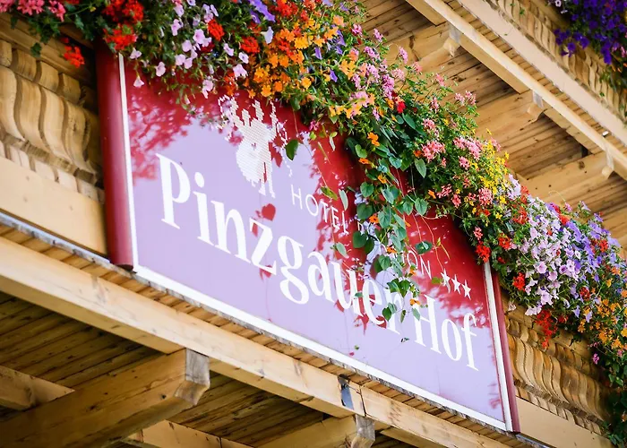Pinzgauer Hof 3* 玛丽亚埃姆安斯泰内嫩米尔