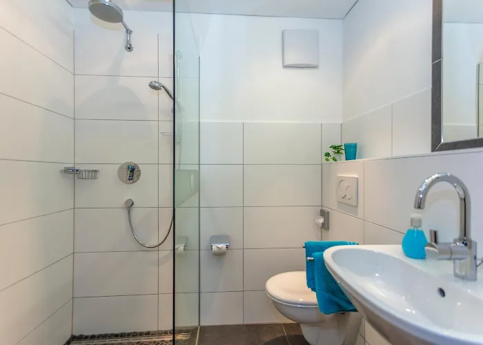 Pinzgauer Hof 酒店 玛丽亚埃姆安斯泰内嫩米尔