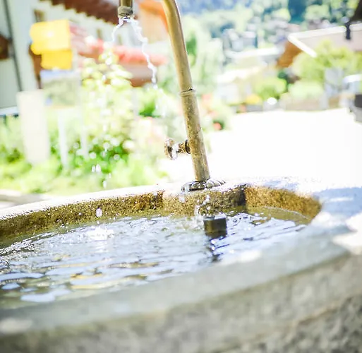 酒店 Pinzgauer Hof 玛丽亚埃姆安斯泰内嫩米尔